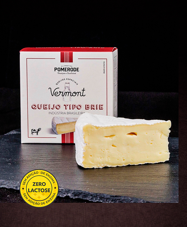 Queijo Tipo Brie