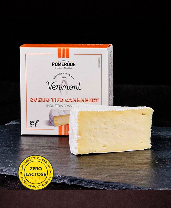 Queijo Tipo Camembert